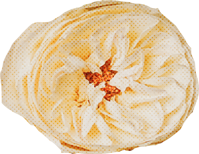 长沙博物馆新展！拾光十年，邀您共赴一场温暖的时空之约