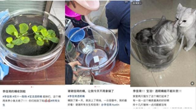 李佳琦直播间一个透明桶的“逆袭”：从一句留言到双11爆款