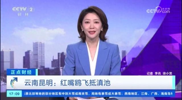 跟着央视三大频道一起赏昆明“限定款”秋色