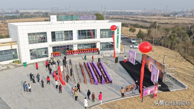 安徽六安绿都疗愈生态园“愈梦空间”品牌启航盛典圆满落幕