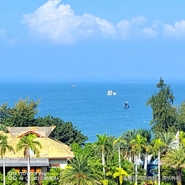 逃离海滨公寓攻略（巽寮湾的两个月冬居记我和姐妹的海居慢时光）