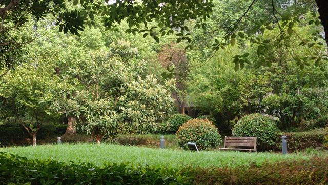 六味地黄丸炖花胶的功效 2026年六味地黄丸炖花胶的功效与禁忌 六味地黄丸炖花胶的功效 2026年六味地黄丸炖花胶的功效与禁忌