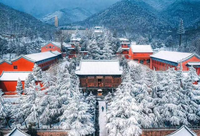 河南下雪冲上热搜！解锁各地冰雕玉砌的浪漫密码……速戳绝美现场→