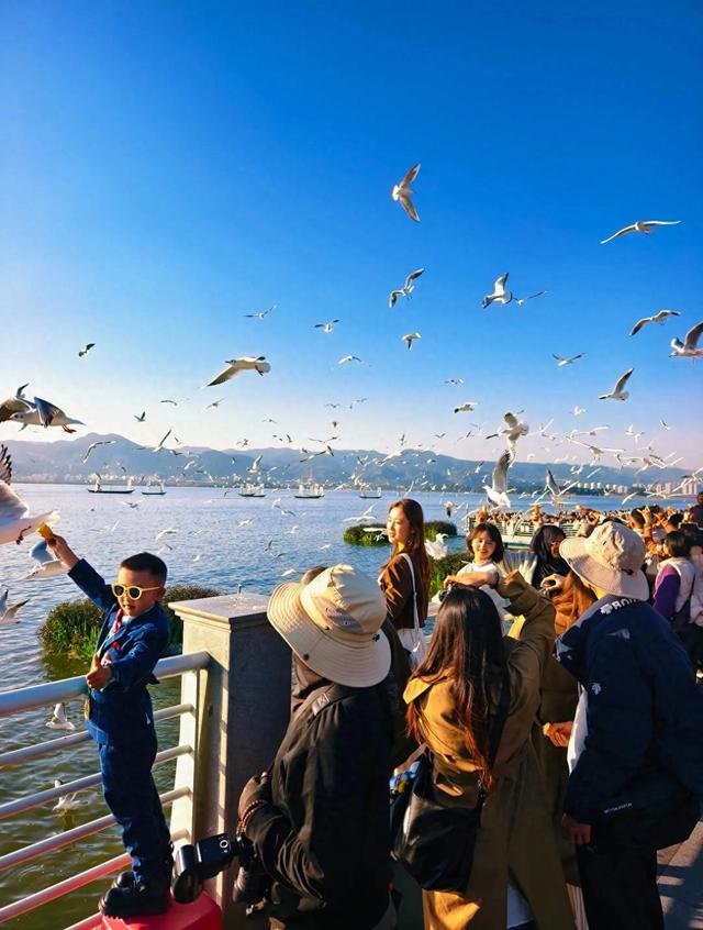 昆明人狂喜!昆明滇池正在发生巨变,这些地方身价要暴涨!