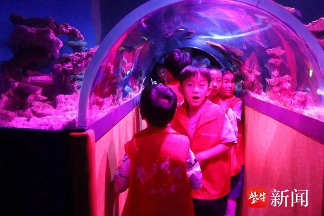 海狮“托马斯”邀你共度奇妙时光！扬子晚报苏州小记者海洋探索之旅来啦