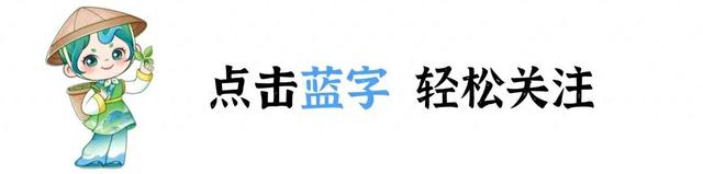 跟着赛事去旅行｜石台秋味记忆，把山野鲜味吃进肚子里