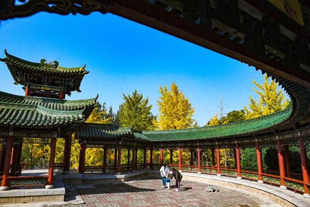 太原动物园内 游客尽享秋日魅力