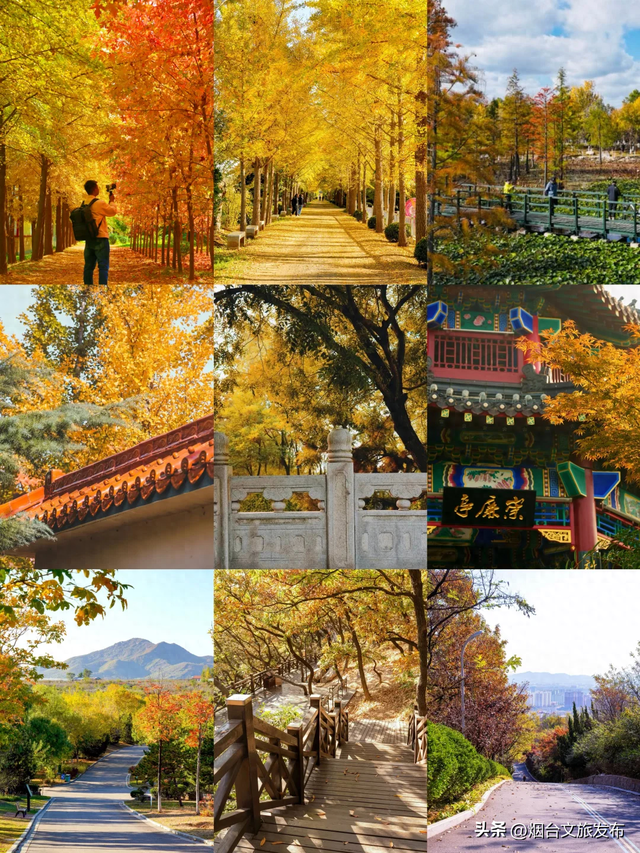 【乐游烟台】烟台秋色杀疯啦！