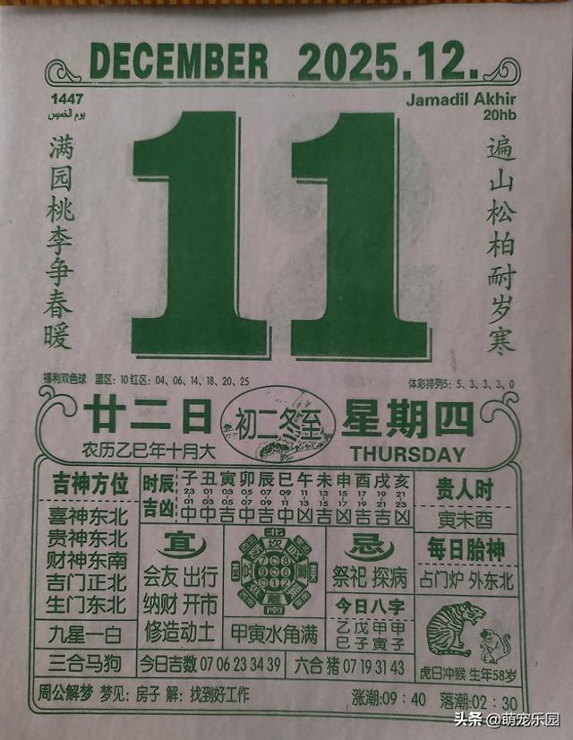 沈阳一夜暴雪，南方游客拍不停，东北人却说这不算啥