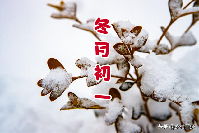 “春节冷不冷，就看冬月初一”，今日冬月初一	，今年春节很冷吗？