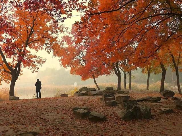 漫谈圆明丨圆明园的秋