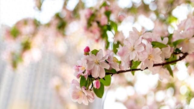 母亲房子卖40万大哥给我转20万，大嫂得知却说：这钱应该全是你的