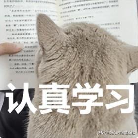 seobaidu（教你实用百度SEO优化技巧）