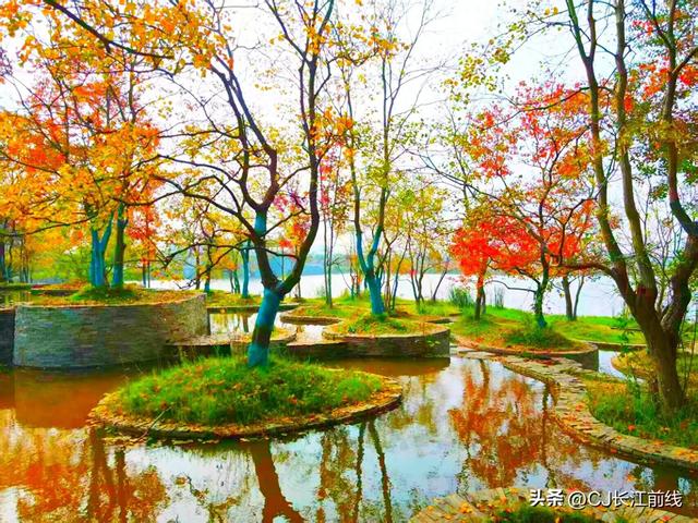 河南淮滨：金秋走读淮河展秀美