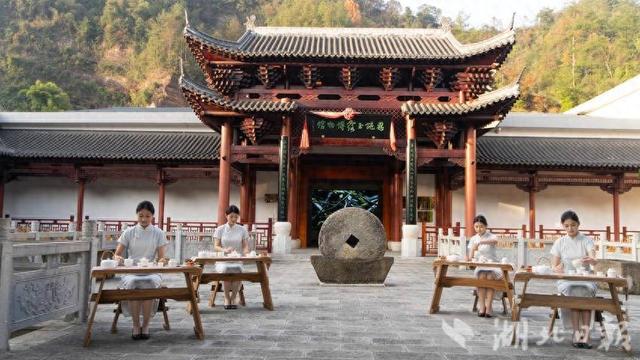 “阅长江·道中华”2025年中华民族共有精神家园建设主题文化活动走进恩施玉露博物馆