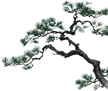 千年盐脉在此共鸣！池盐井盐文物珍品展登陆叙永春秋祠