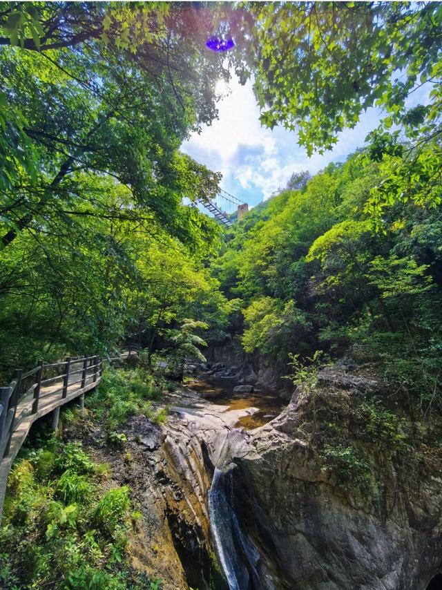 我是上海人，刚逛完洛阳石窟，憋了 5 个感受不吐不快	。