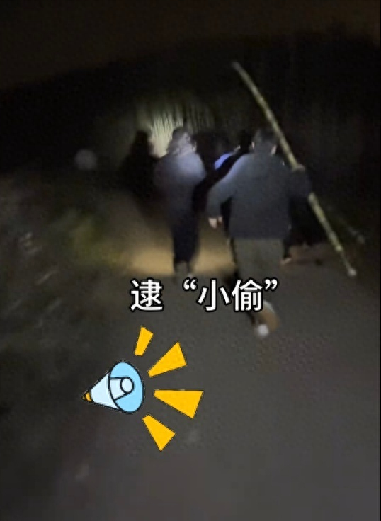 “偷甘蔗”爆火 打开了另类文旅之路