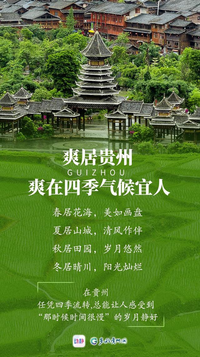 “爽居贵州”，感受自然之美与人文魅力