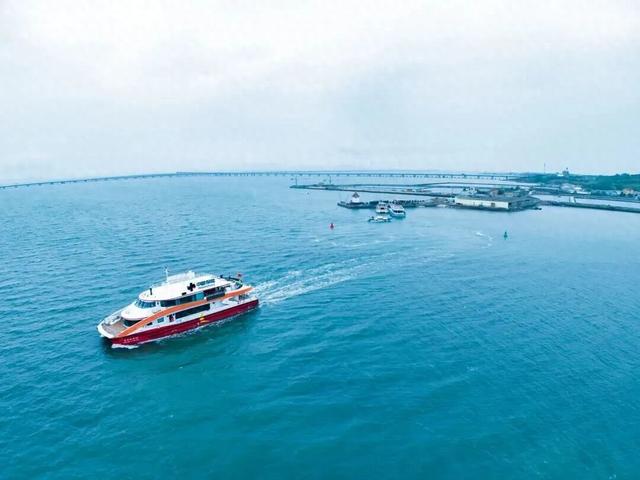 城阳区赏鸥打卡攻略和赏鸥线路请收好