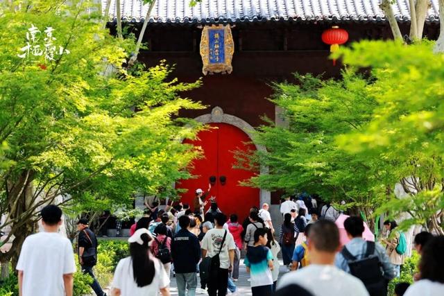 免费、半价、优惠！南京这些景区官宣！