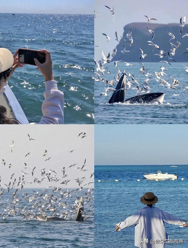 暖冬18℃！涠洲岛打卡指南：赴一场鲸落与火山的秘境之约