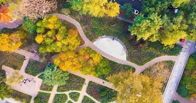 简！直！不！要！太！美！静赏秋日和平