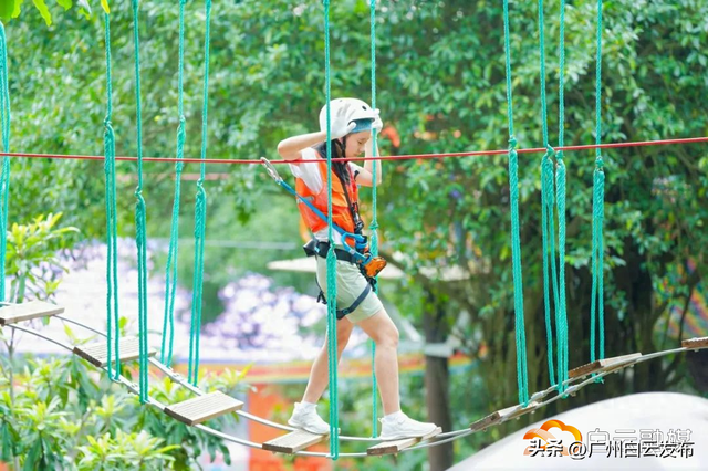 白云山鸣春谷景区业态升级显成效，上半年游客量增长34.5%