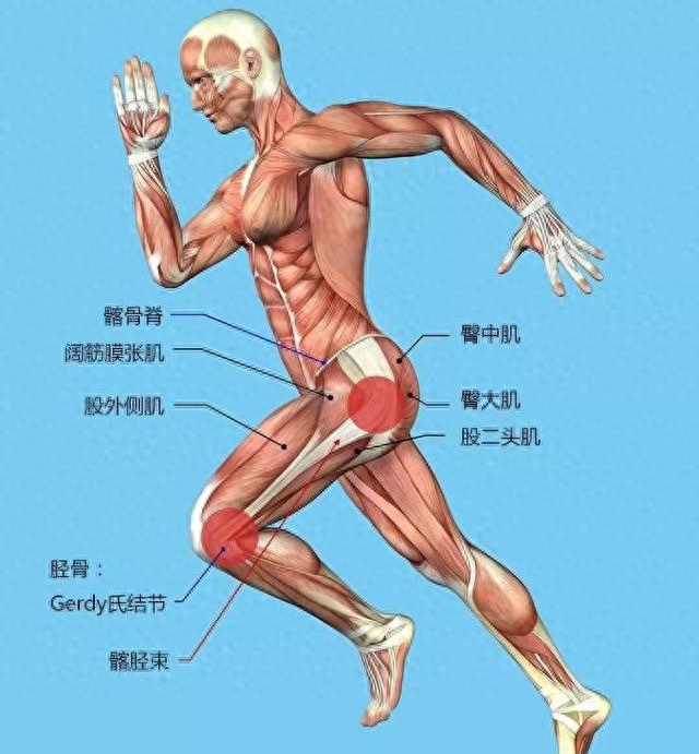停跑3天掉肌肉7天毁心肺！跑步党必看的「停跑危机自救指南」