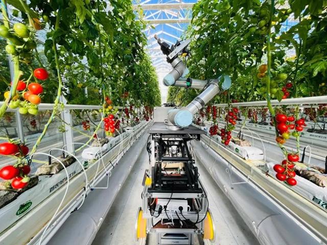 帮助作物“优生优育”！首台全流程智能育种机器人来了