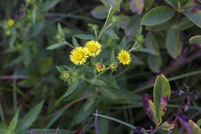徐州最“冷门”的公园，耗资3亿打造却不为所知，地铁公交直达！