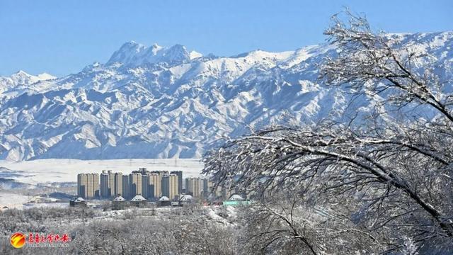 听我的，雪后的乌鲁木齐，真的能治愈一切！