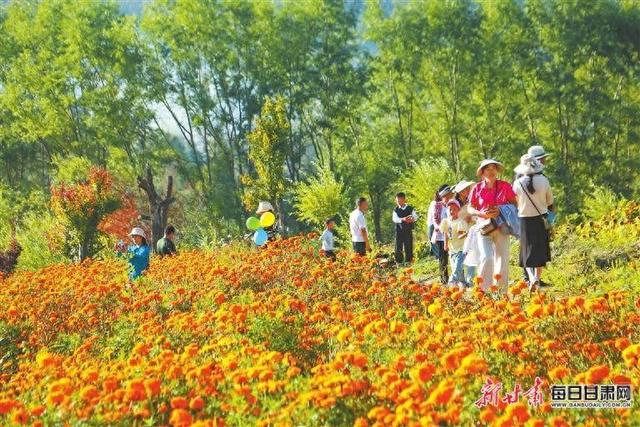 【图片新闻】岷县麻子川镇牧马滩旅游景点花卉竞相绽放