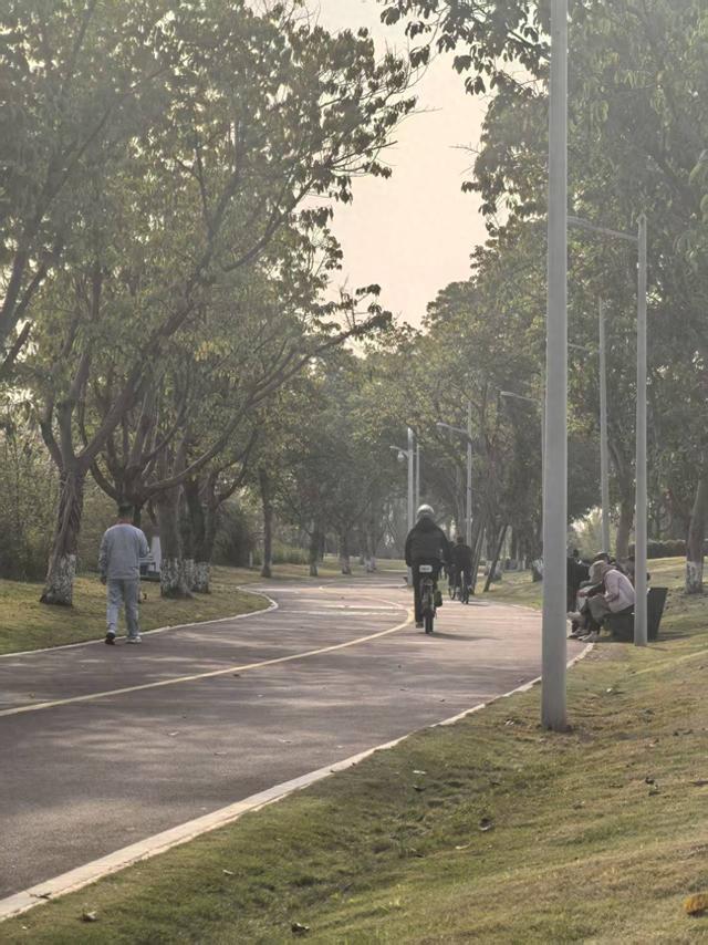 这个春节“骑”开得胜 绿道游持续火热