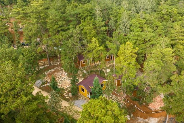 区县动态｜露营、种菌两不误！贵安平阳村“林下文章”有声有色