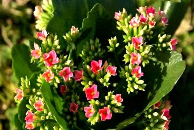 两性关系：男人过65岁、基本上都会有如下现状，具体表现是这样的