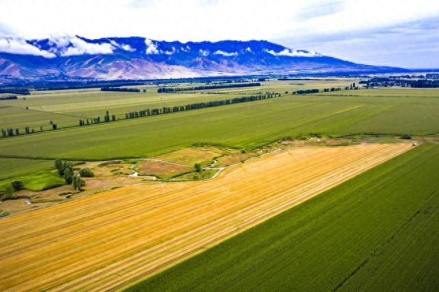 齐鲁红妆赴天山 屯垦戍边铸丰碑——1952年山东女兵支援新疆纪实