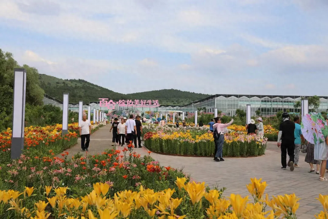 凌源百合博览园免费开放，成为市民游客争相打卡地