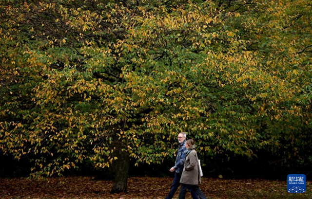 英伦秋日