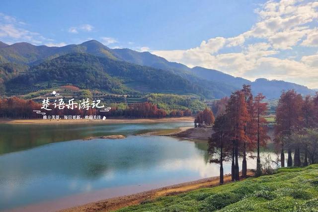 浙江绍兴的网红水库，因红杉胜境而出圈，具体怎么游请看详细攻略