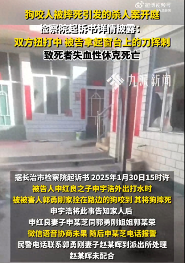 狗咬人引发杀人案起诉书详情披露