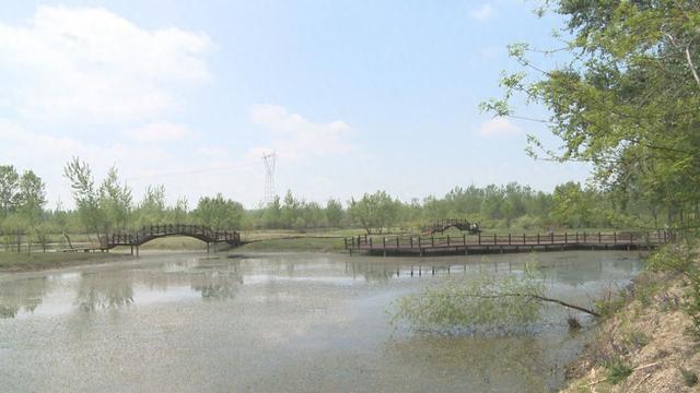 悠然家乡，蓝天白云，青山绿水，自然之美无处不在。请到大美盘山来（第586篇）