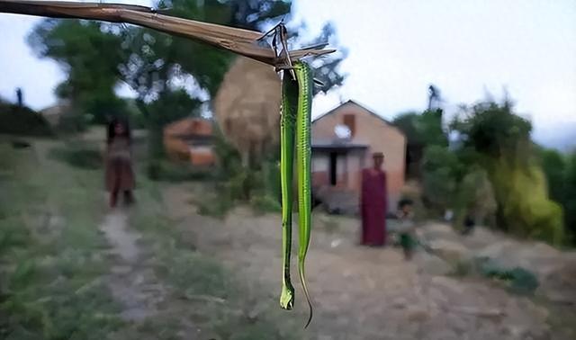 尼泊尔的月经耻辱：女人每个月都要被放逐一次，结束后才允许回家