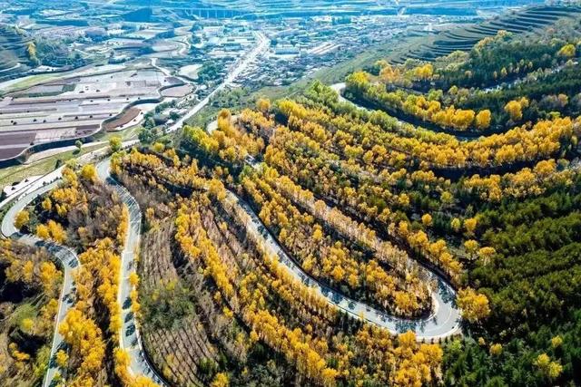 以东方美学观定西：黄土里的千年风雅