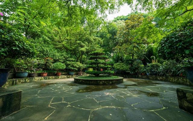 重庆值得去的6个公园推荐！全部免费，好玩又好拍！你都去过几个