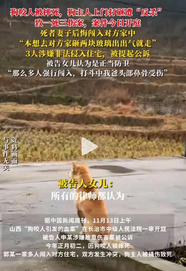 狗咬人反杀案越扒越深曝死者妻子吞他人装修钱,惨案也与她有关