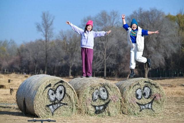 包头这里有好多“瑞士卷”！你去了吗