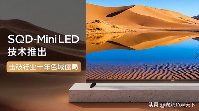 全球显示技术竞赛迎来中国答案 TCL SQD-MiniLED全局高色域征服行业