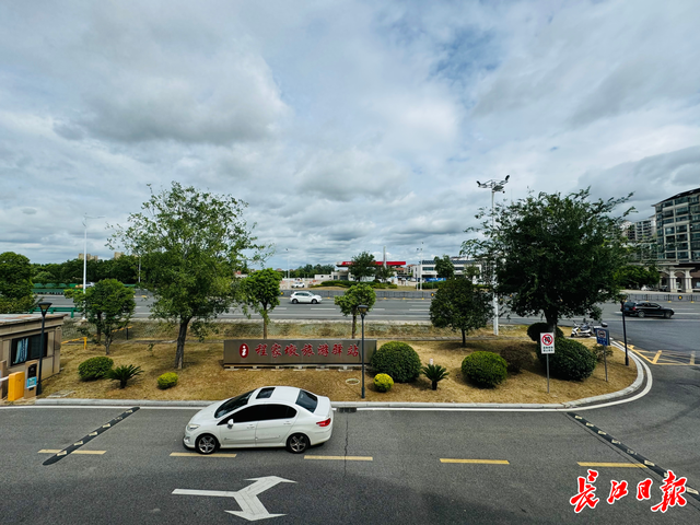 可停车充电、可晨练遛娃，岱黄高速公路旁这座驿站“像公园一样”
