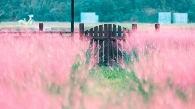 拜托，这真的很好看啊…